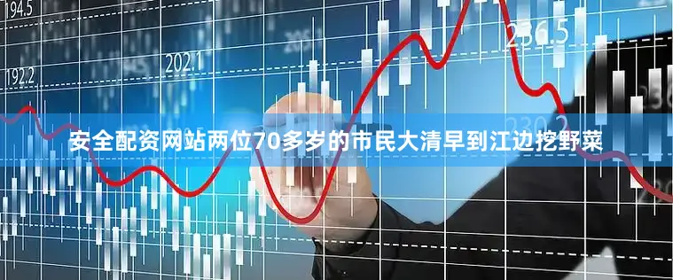 安全配资网站两位70多岁的市民大清早到江边挖野菜
